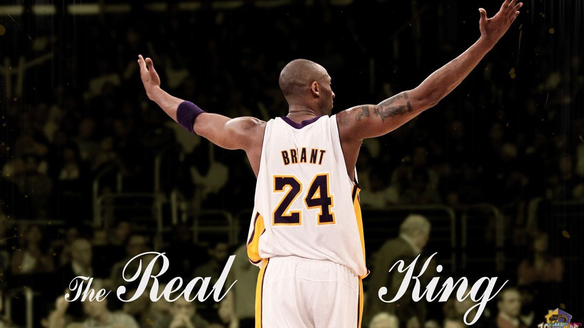 九游娱乐-NBA赛季关键比赛预测,nba本赛季关键球排名